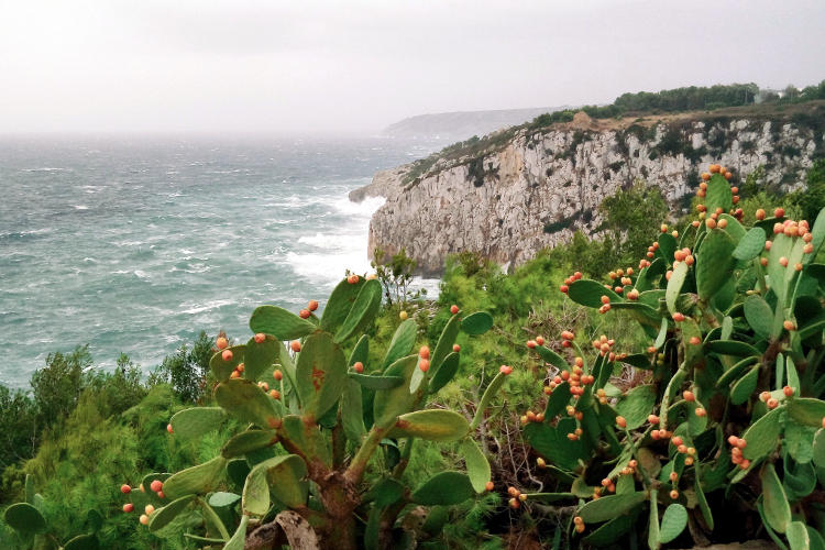 Scelta del meteo nella foto di paesaggio.