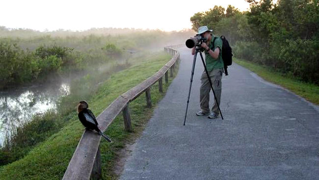 Fotografia naturalistica con zoom e treppiede.