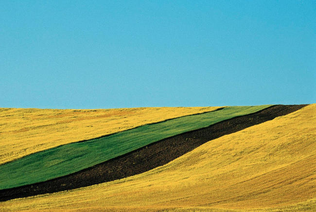 foto di paesaggio di franco fontana.