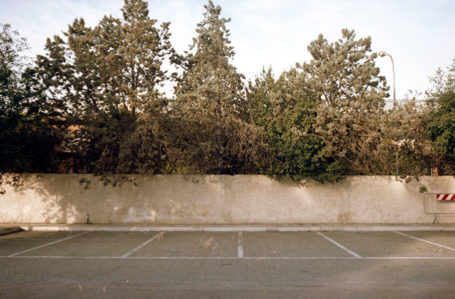 Foto analogica di muro con alberi, parcheggio.